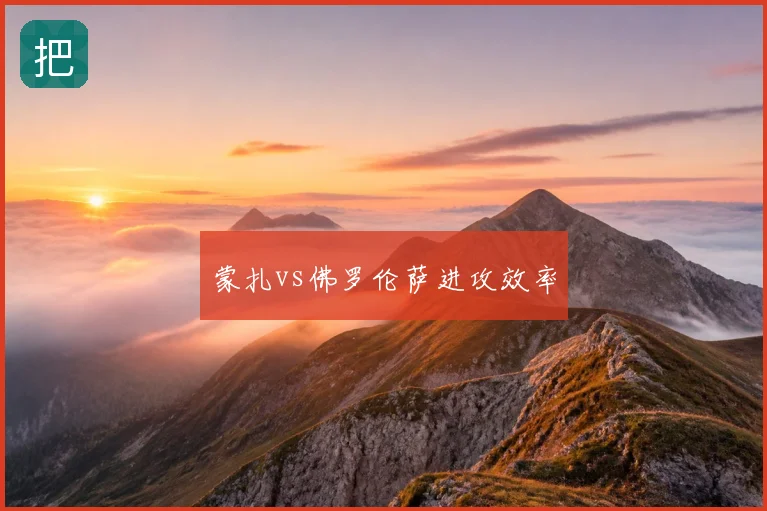 蒙扎vs佛罗伦萨进攻效率
